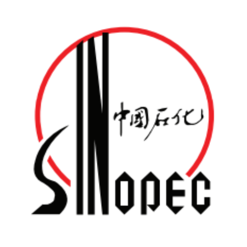 Blue Waves Surfing Club Logo (2)